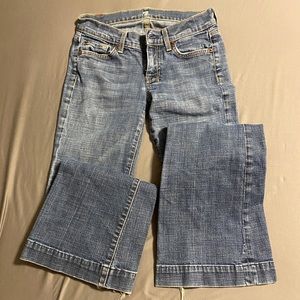 7 For All Mankind Dojo size 24